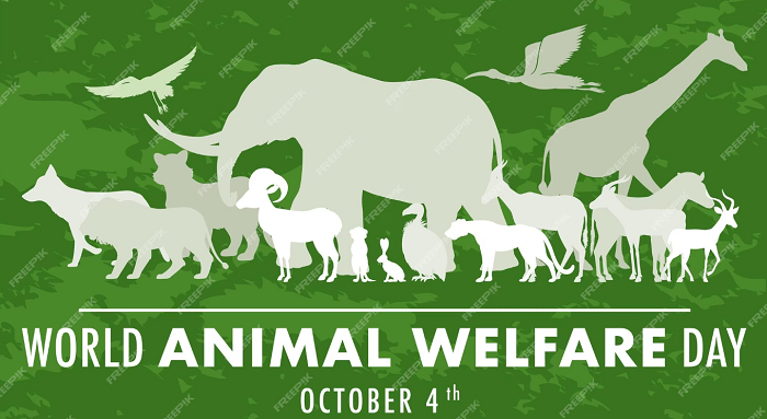 World Animal Welfare Day