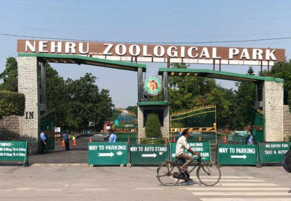 Nehru Zoological Park