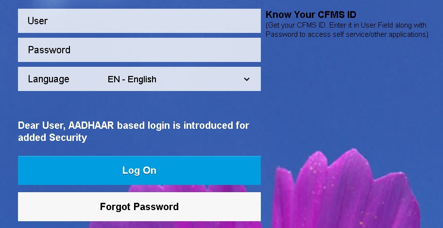 login info cfms